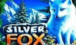 Silver Fox